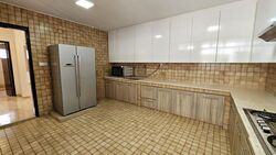 Shamrock Park (D10), Semi-Detached #466328781